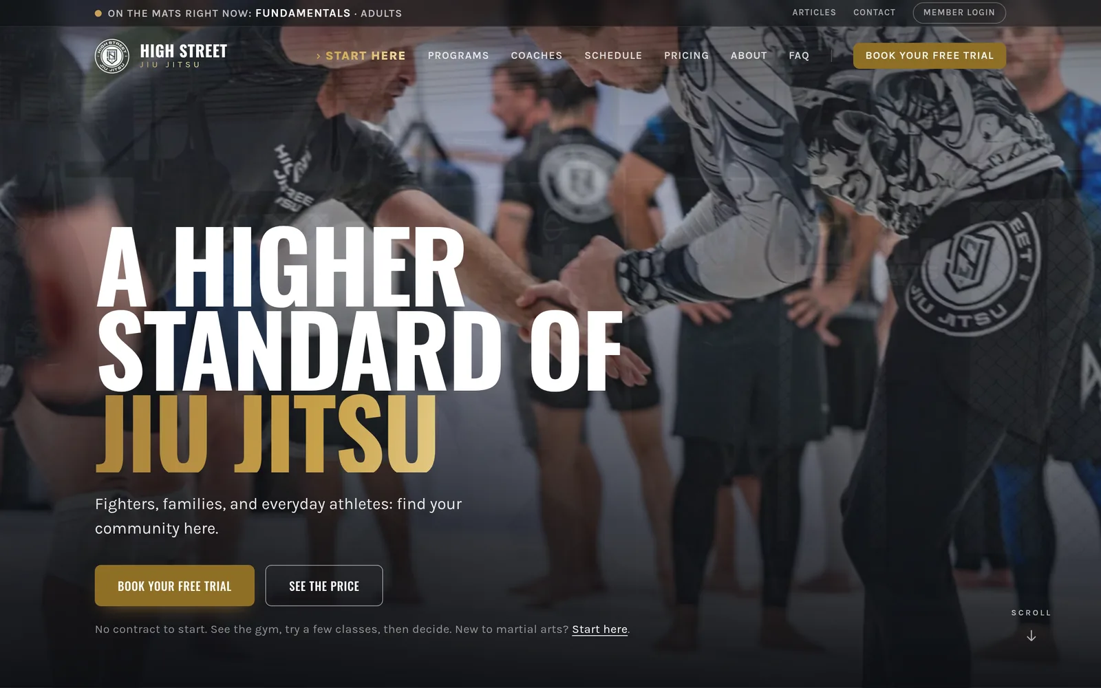 The High Street Jiu Jitsu website, designed and built by A Visual Identity