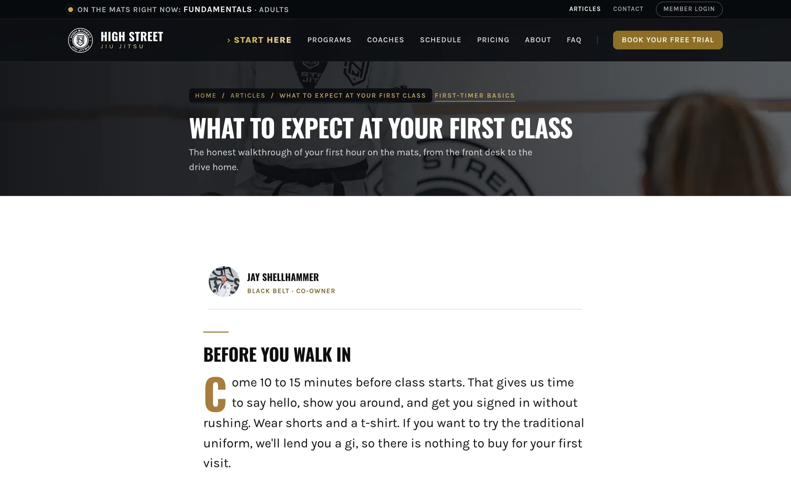 An article page, with the author's belt and role up top.